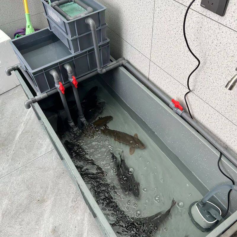 大乌龟缸过滤周转箱水培植物养殖缸鱼缸过滤器阳台养鱼过滤水循环