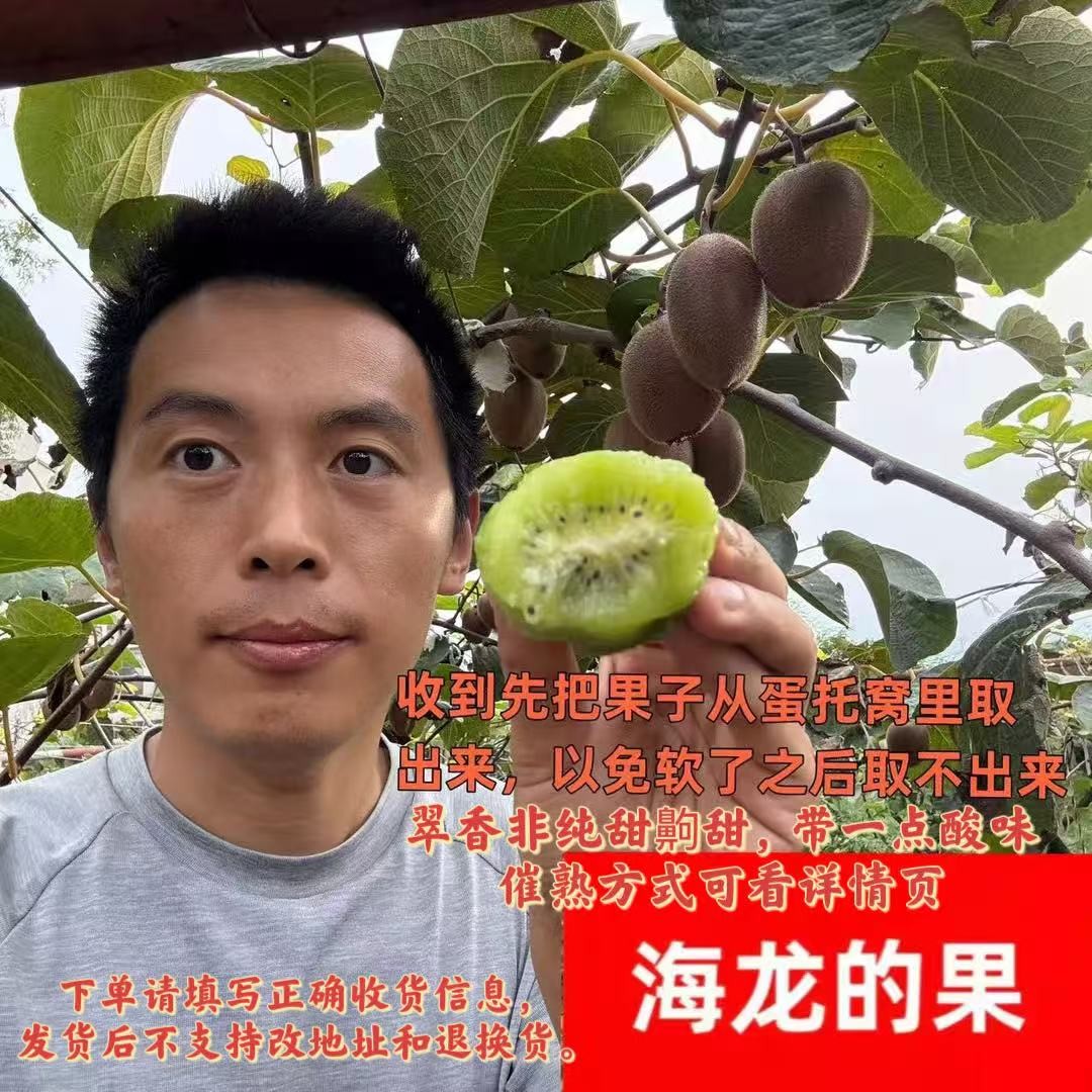 海龙的果陕西周至翠香猕猴桃净重4.5斤中通