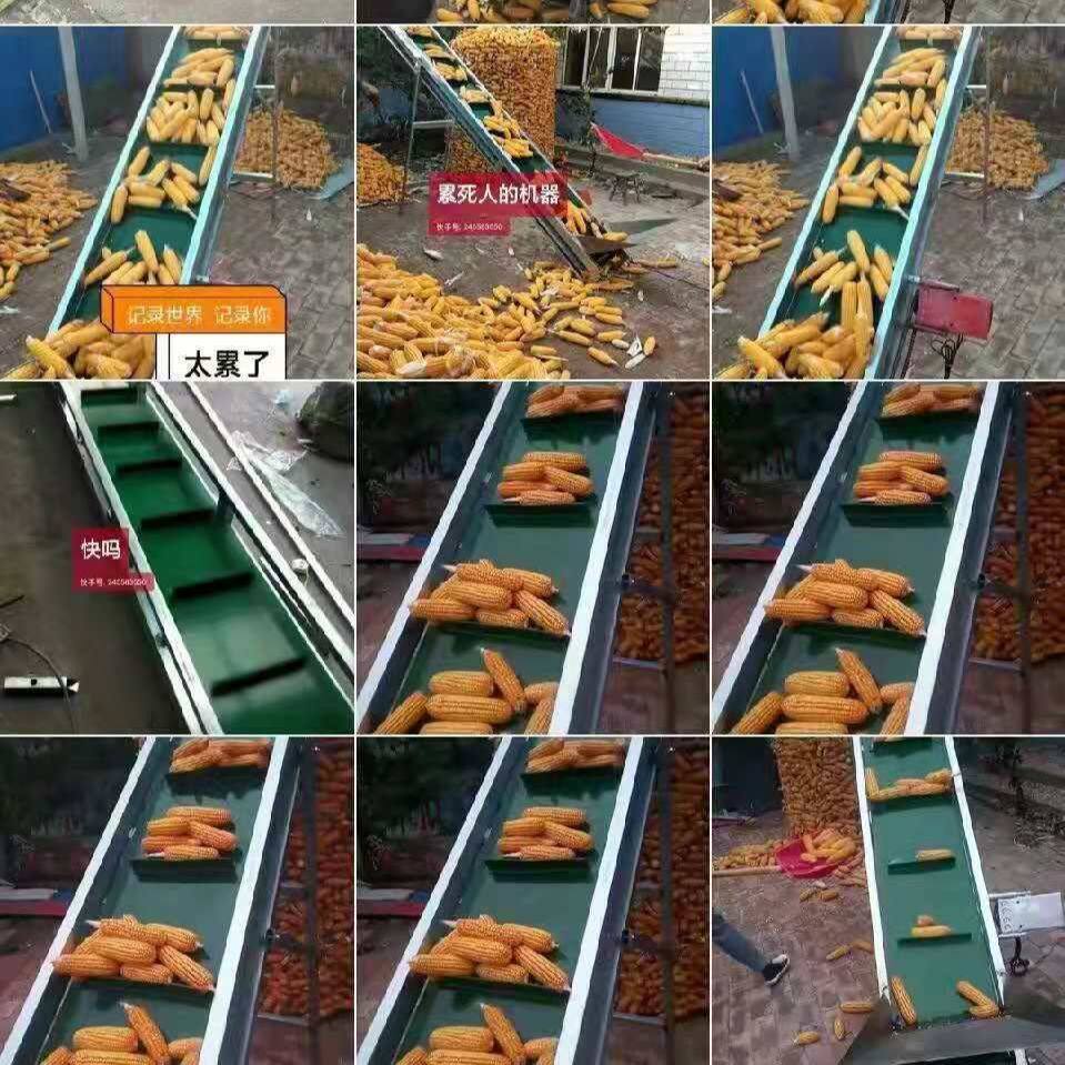 传送带家用耐磨输送机麦子棒子输送带玉米上棒机提升机爬坡机厂家