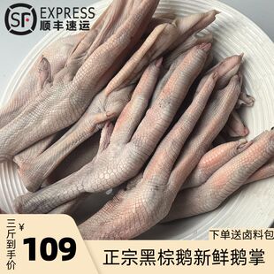 新鲜黑棕鹅鹅掌亦 5a大鹅掌 非冷冻广东鹅掌商用包邮