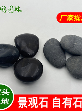供应河道护坡用大块黑色鹅卵石 园林造景铺设雨花石
