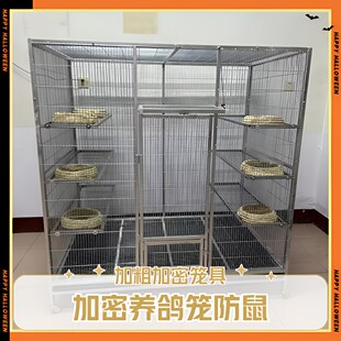 加大加密加粗养鸽笼养鸟笼防黄鼠狼防老鼠