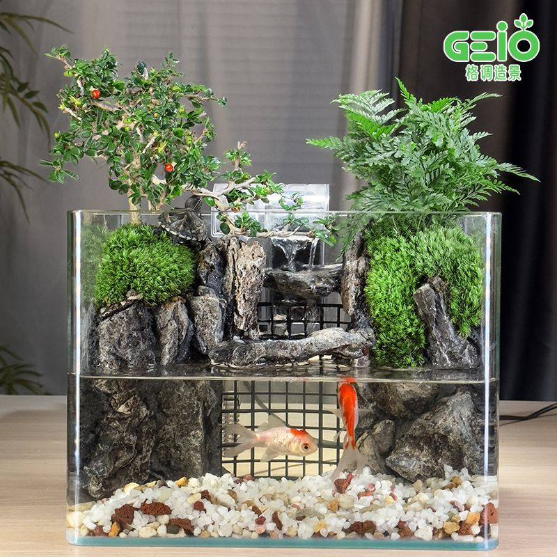 成品全套生态鱼缸绿植苔藓微景观造景山水缸水陆桌面小型一体鱼缸