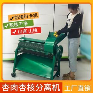 山杏去皮机杏肉杏核分离机家用鲜杏脱肉机粮油加工设备脱皮机小型