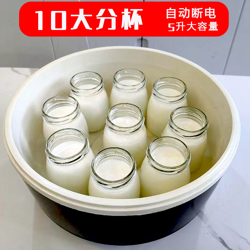 商用5升大容量酸奶机自制酸奶摆摊恒温发酵智能断电全自动免看管