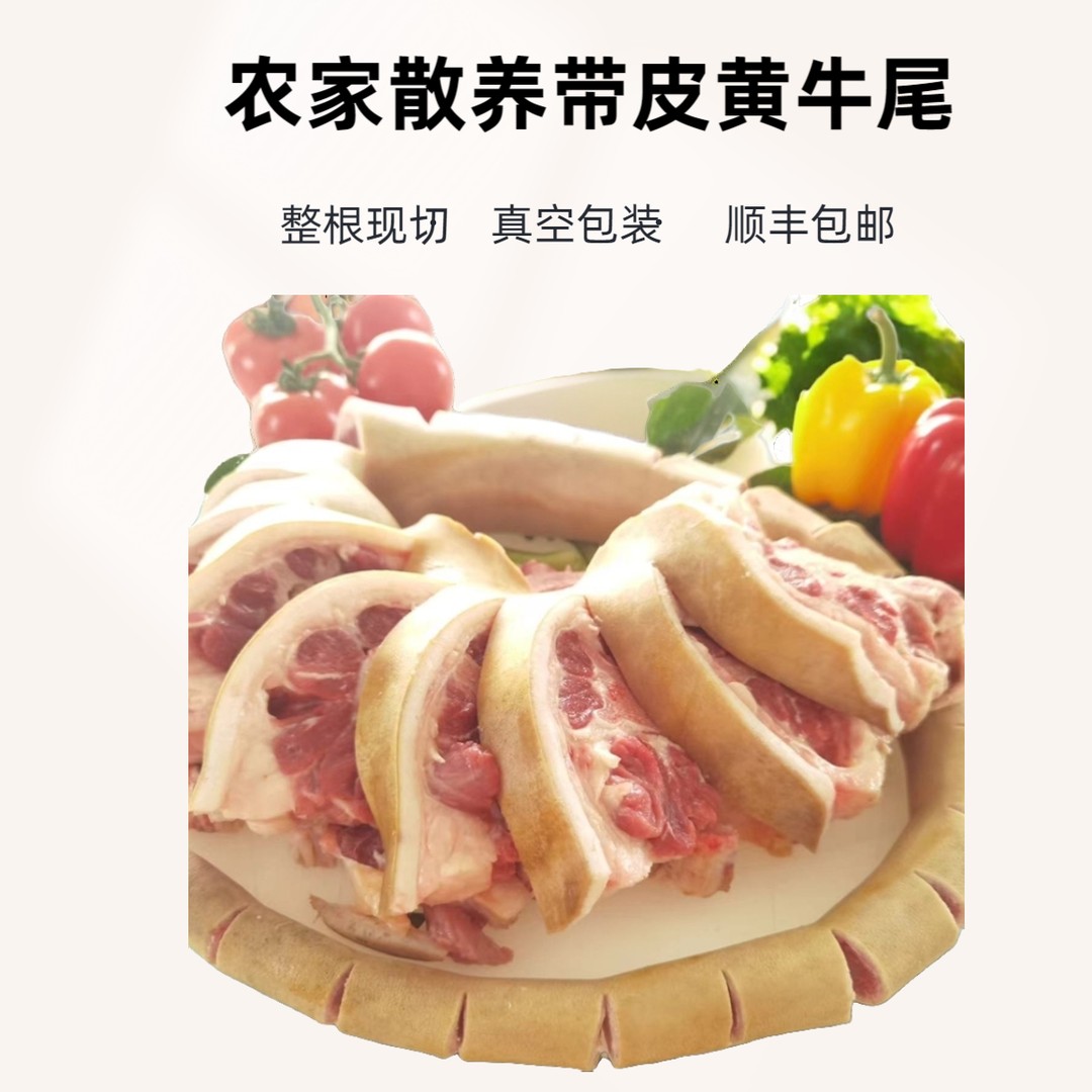 带皮黄牛尾广西农家散养整根牛尾巴生鲜牛尾