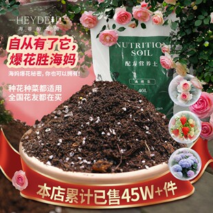 绣球种球通用 通用型配方土营养土花卉种植月季 海蒂 花园海妈同款