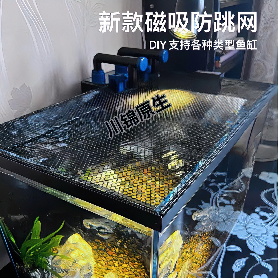 专业养鱼防跳网吉罗雷龙防跳网龙鱼长鳍鱲透明网磁吸网盖爬宠网盖