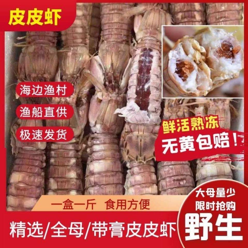 季节肥母满肉皮皮虾带膏熟冻虾爬