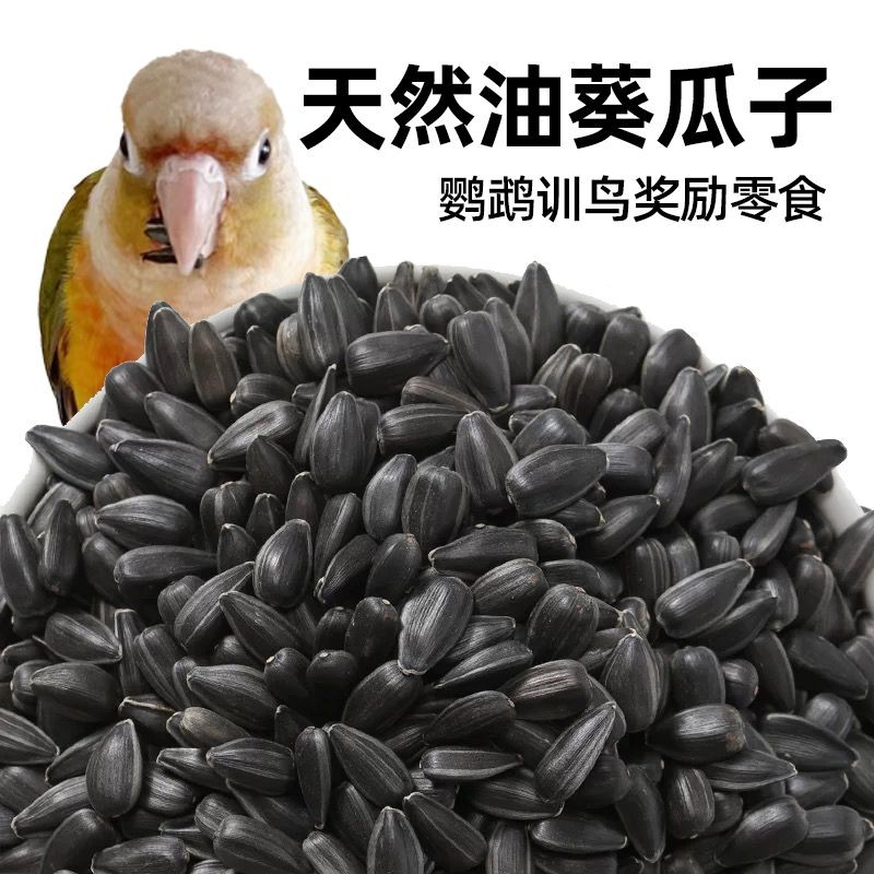 鹦鹉鸟食新黑瓜子油葵籽黑珍珠小瓜子葵花籽鹦鹉鸟食仓鼠粮食鸽粮