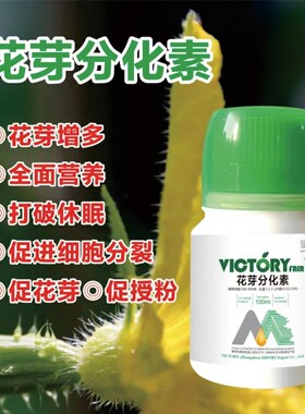 花芽分化素 草莓葡萄番茄授粉多开花现蕾 促花芽促进细胞分裂