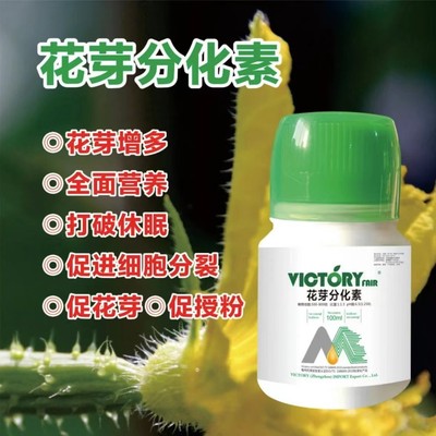 花芽分化素 草莓葡萄番茄授粉多开花现蕾 促花芽促进细胞分裂