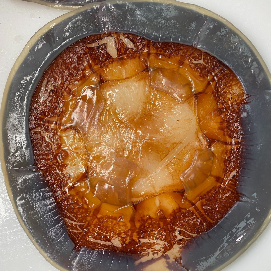 薄的提干皮舟山红太阳海蜇皮 三矾提干干皮 鲜脆送人