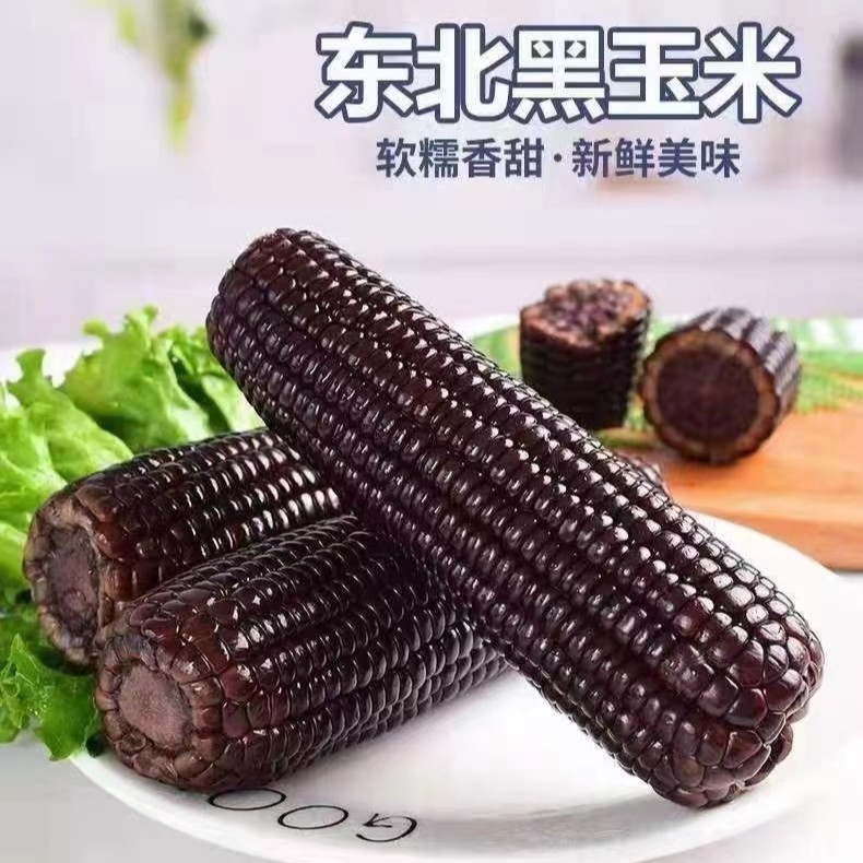 整箱8.5-9斤25年头茬黑糯玉米(280-350g)拍10送4发14支试吃4支M
