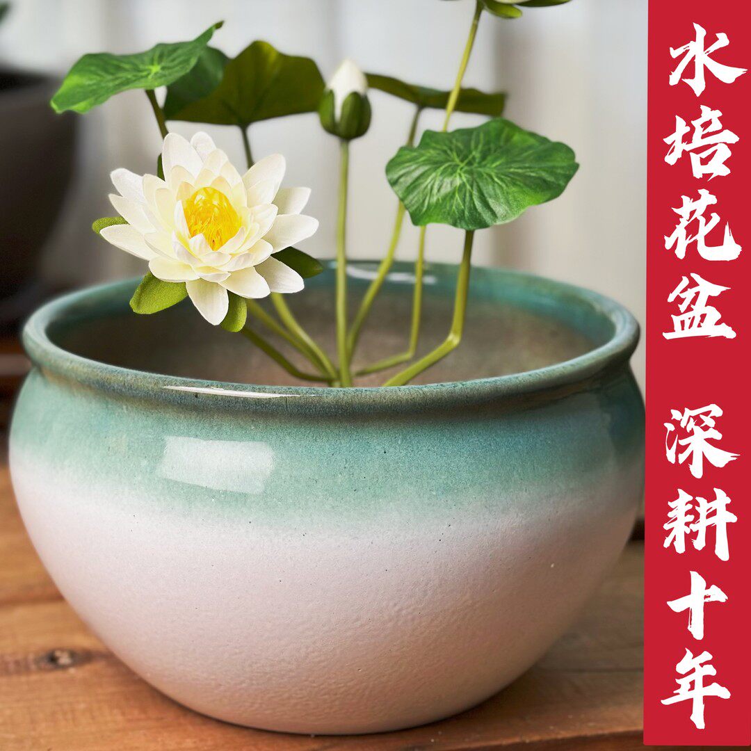 多款多色无孔花盆大号陶瓷碗莲专用盆睡莲盆草一叶莲花盆水生植物