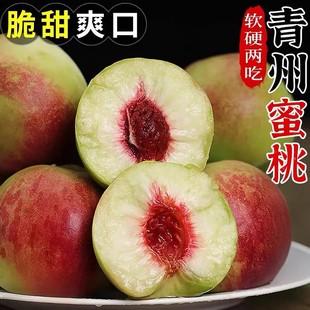 山东现摘青州蜜桃毛桃冬桃蜜桃甜脆甜爽口多汁小蜜桃3/4.5斤