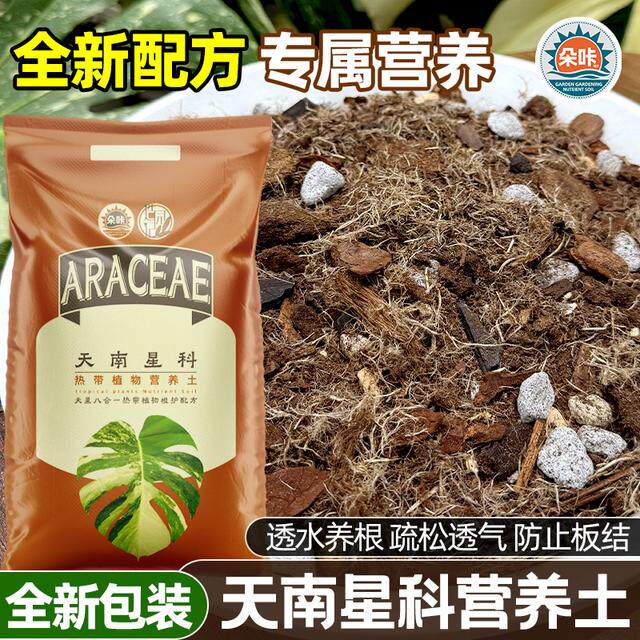 天南星科八合一配土促根绿植龟背竹适合锦化龟背竹蔓绿绒芋科花烛