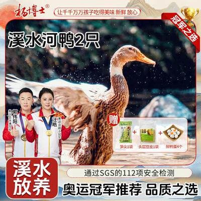 2只溪水老鸭杨博士皖南溪水放养500天土鸭子散养新鲜现杀鸭子