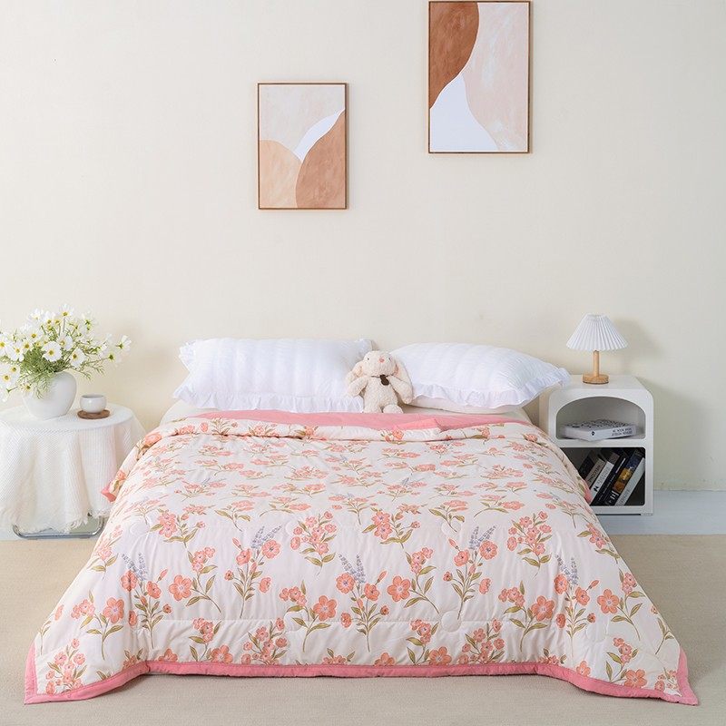 新款2025夏凉被空调被薄款被子单双人学生宿舍可水洗夏季儿童夏被,床上用品,化纤被,淘宝优惠券,粉丝福利购,淘宝优惠卷