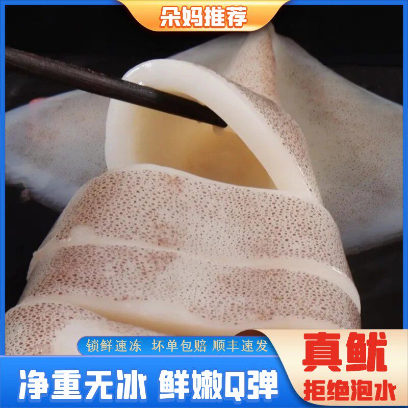朵妈海鲜野生海捕新鲜鱿鱼可以清蒸凉拌鱿鱼整只火箭4-6条3斤