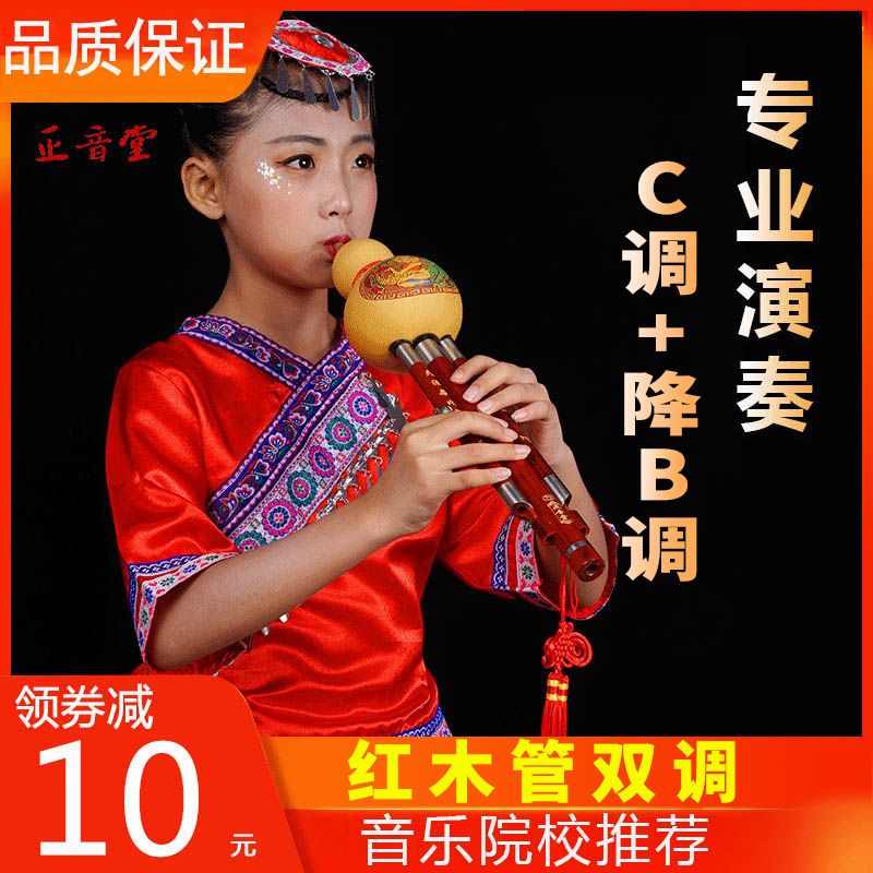 葫芦丝乐器正音堂云南双调C调降B调专业演奏成人红木管葫芦丝学生