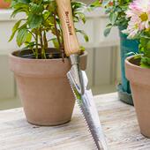 Berry&Bird不锈钢五合一手工具英式 园艺工具实木木柄精致耐用