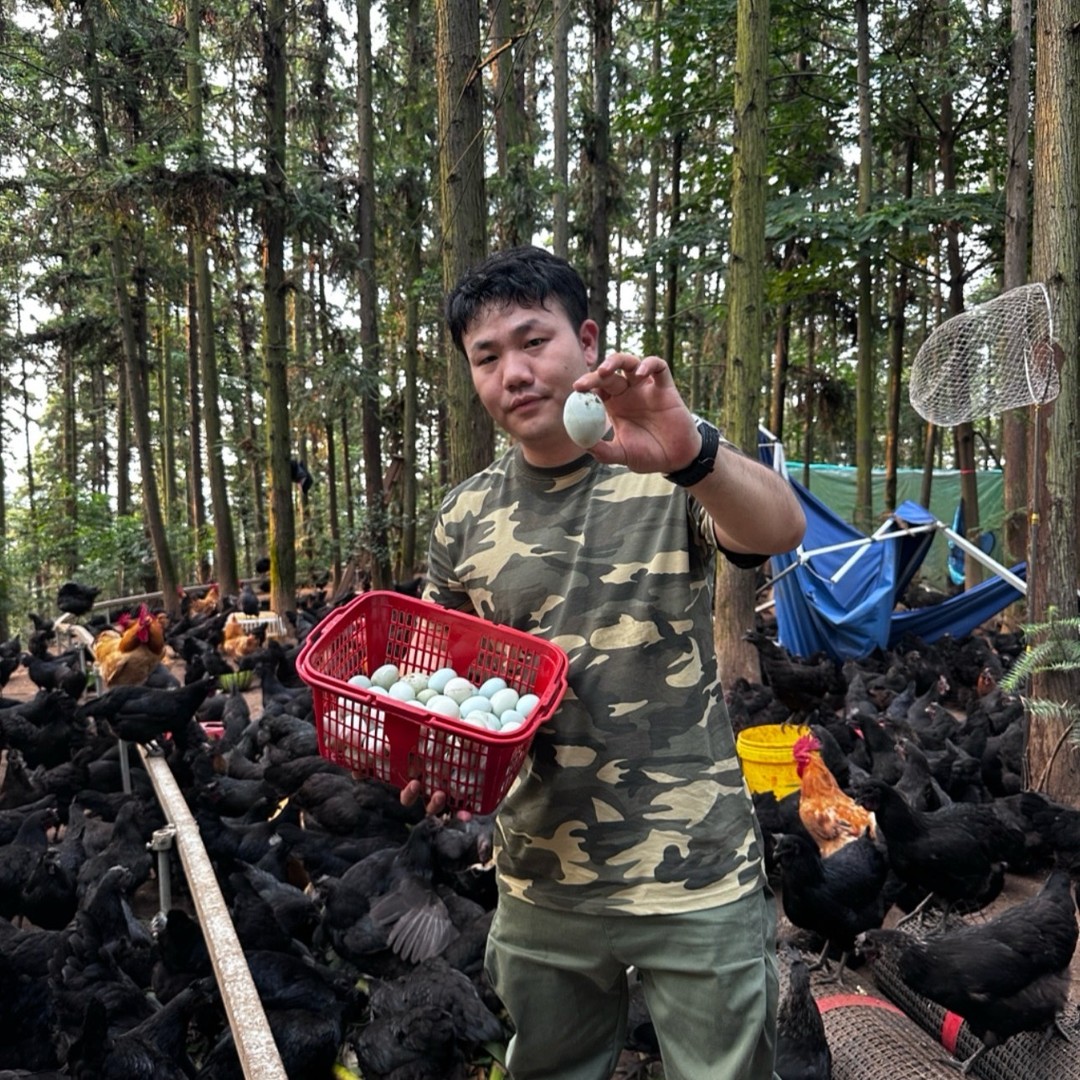 新鲜绿壳土鸡蛋30枚50枚