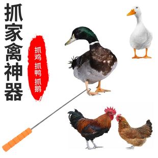 抓鸡神器捉鸡钩子逮鸡工具养殖场捕鸡捕鸭捕鹅脚套户外捕捉逮鸭子