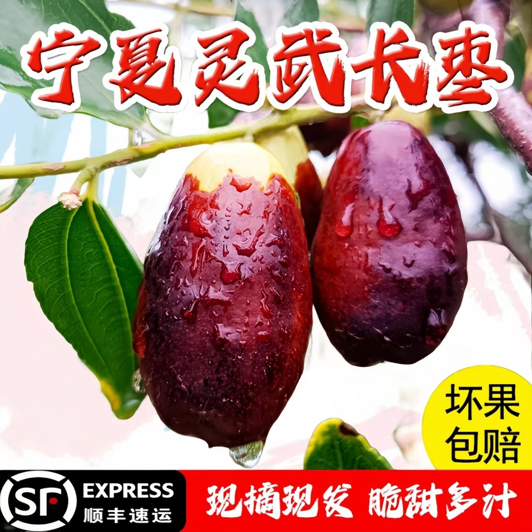 灵武长枣 产地直发  新鲜脆甜多汁皮薄肉厚应季水果红枣