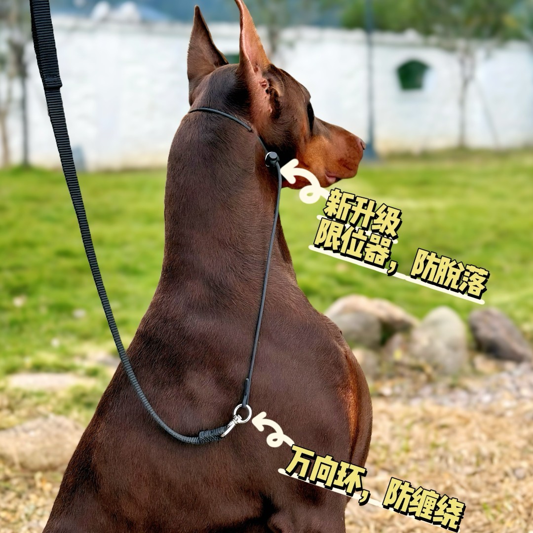 狗狗牵引绳随行防爆冲 赛级训犬p绳防缠绕升级