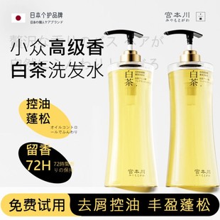 【小众高级香】宫本川白茶洗发水控油蓬松去屑持久留香男女士洗头