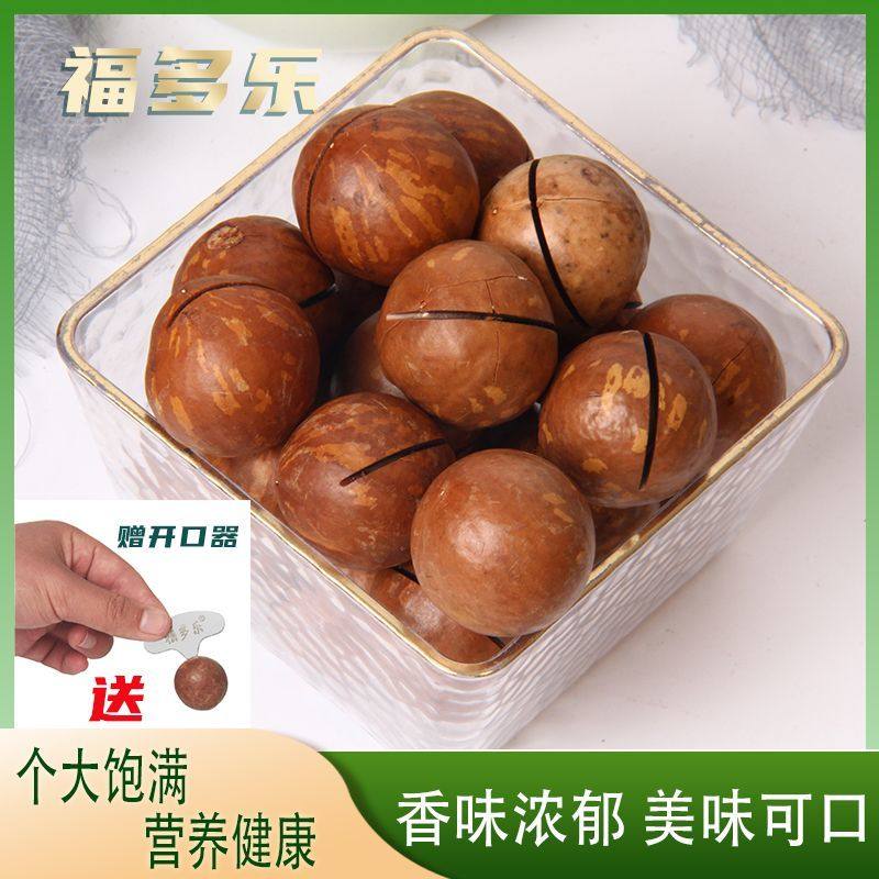 云南夏威夷果原味无添加坚果干果年货送礼孕童健康零食