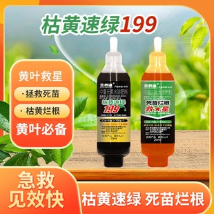 果养道枯黄速绿死苗烂根199防治根腐病害死苗枯萎肥料