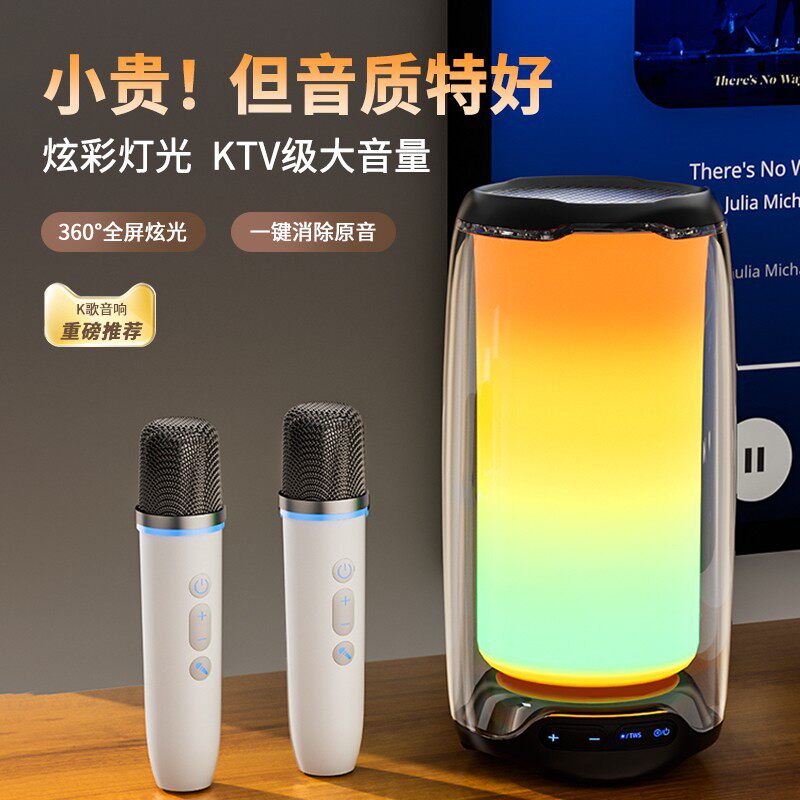 无线蓝牙音箱手提便携式唱歌话筒音响一体机-Ai升级版声卡麦克风