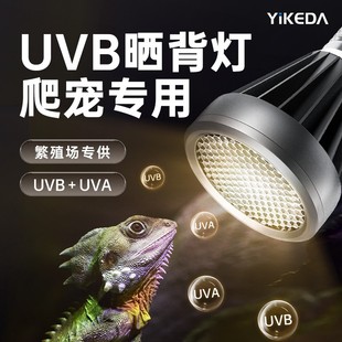 益科达全光谱乌龟晒背灯爬宠uvb灯泡蜥蜴黄缘龟缸uva加热灯罩灯架