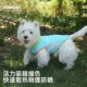 连帽背心小狗狗凉感连帽衫 cheepet 趣派宠物衣服春夏透气无袖