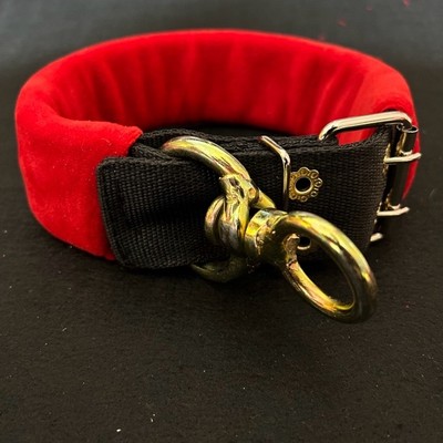 大型犬比特中亚狗狗拴狗猛犬专用圆环项圈脖圈加厚结实宠物狗项圈