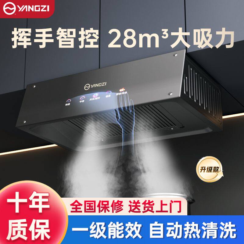 扬子抽油烟机家用厨房静音大吸力排油烟小尺寸中式出租房