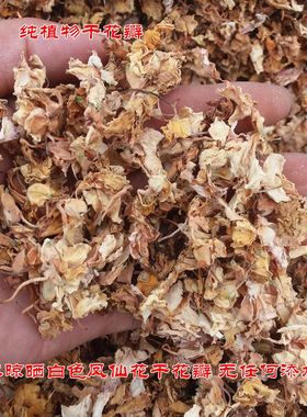 红色凤仙花 指甲草鲜花瓣 凤仙透骨草小桃红干花打粉染发染甲包邮