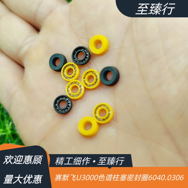赛默飞U3000/DS/RS /BM液相色谱泵柱塞正反相密封垫圈6040.0306