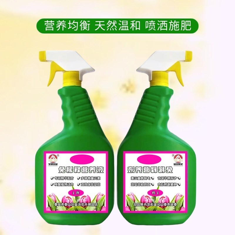 丹麦风铃花专用肥免稀释营养液室内客厅开花植物重瓣紫风铃花肥料