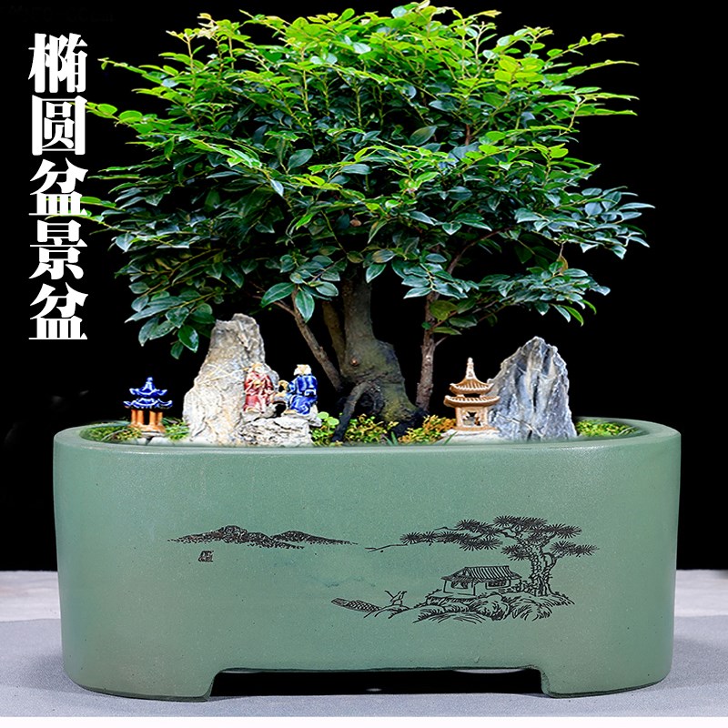 紫砂花盆椭圆形榕树盆栽室内桌面灵芝文竹盆景盆户外大号陶瓷花盆