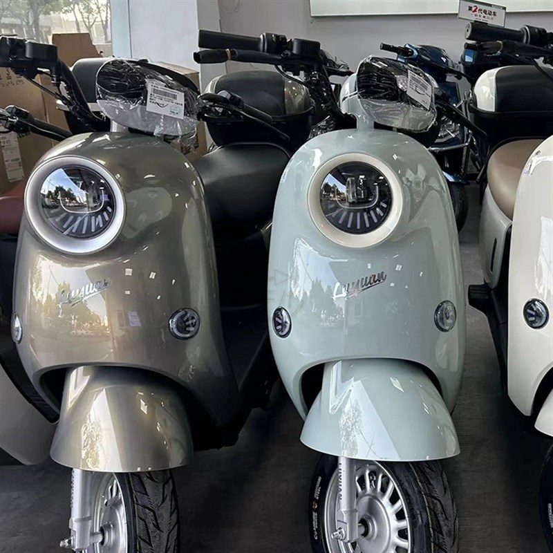 适用电动车绿源ZOF铝实心扶手尾架后尾箱备箱支架拓展长衣架货架