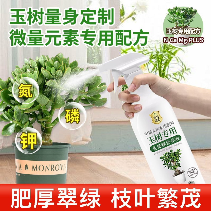 玉树营养液治黄叶老桩玉树专用肥料免稀释液体肥叶面肥盆栽