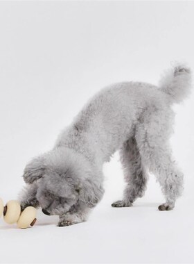 韩国Roika Dango漏食益智狗狗玩具天然橡胶小型犬丰容咬坏换新