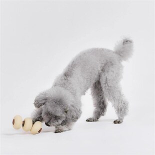 韩国Roika Dango漏食益智狗狗玩具天然橡胶小型犬丰容咬坏换新