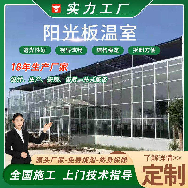 阳光板温室大棚 玻璃温室大棚 智能玻璃连栋阳光板温室 保温大棚
