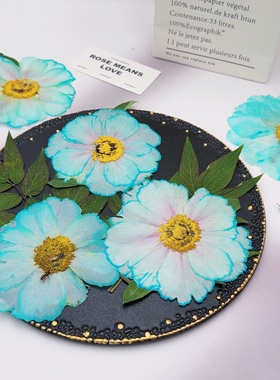 染色绿色牡丹花压花天然真花押花标本手工装饰画压花画伴手礼素材