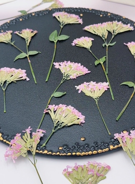 粉色细米花压花标本天然带杆真干花DIY压花相框书签手帐手工花材