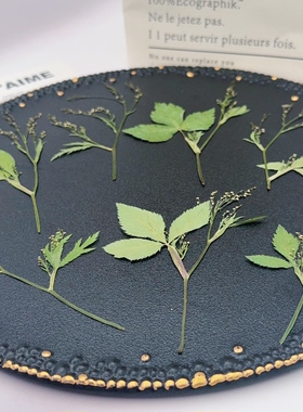 鸭儿芹压花三叶芹花穗干叶标本滴胶饰品手作材料书签相框手工素材